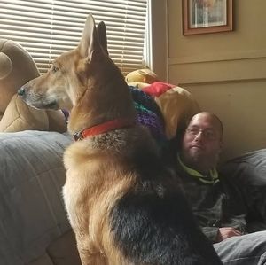 Meet your Posher, Harry